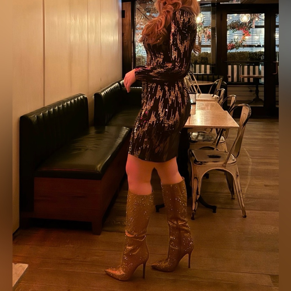 Angel Eye Size 10 Velvet Mini Dress with Long Sleeves